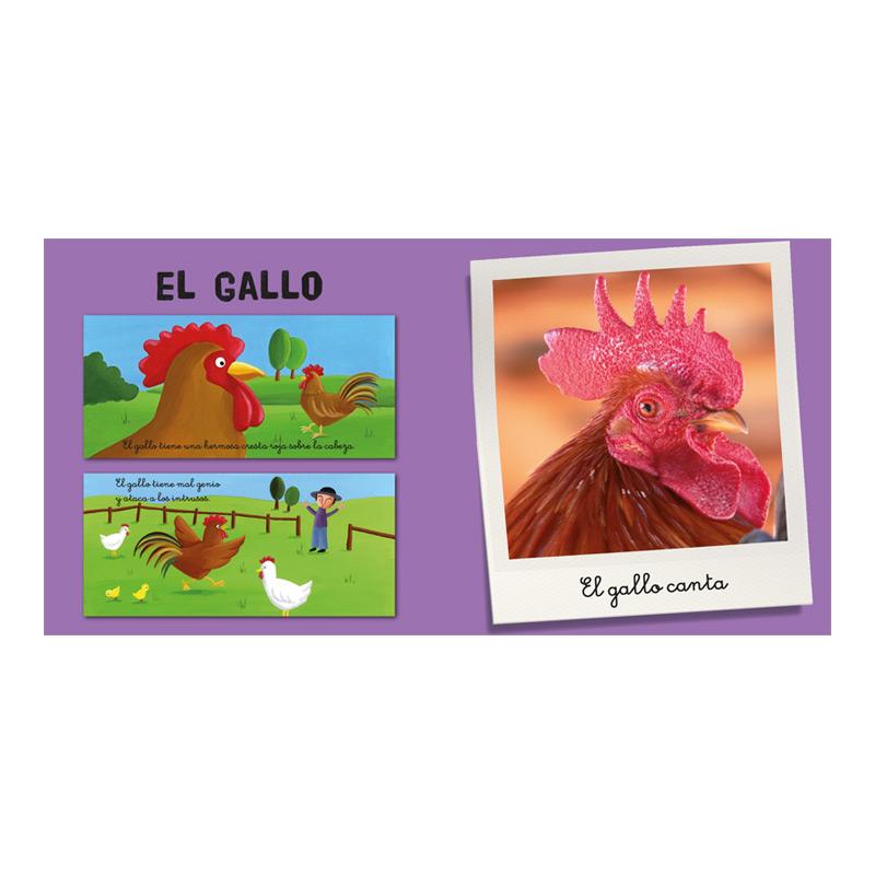 Mi Cofre De Animales De La Granja