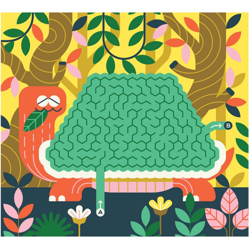 20 Laberints Al Cor De La Selva. El Meu Estoig De Jocs