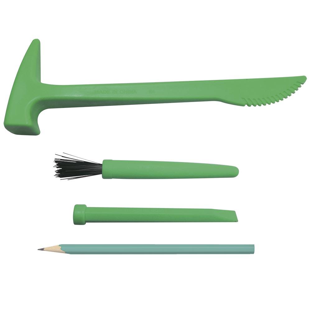 Mi Cofre Buscador De Dinosaurios