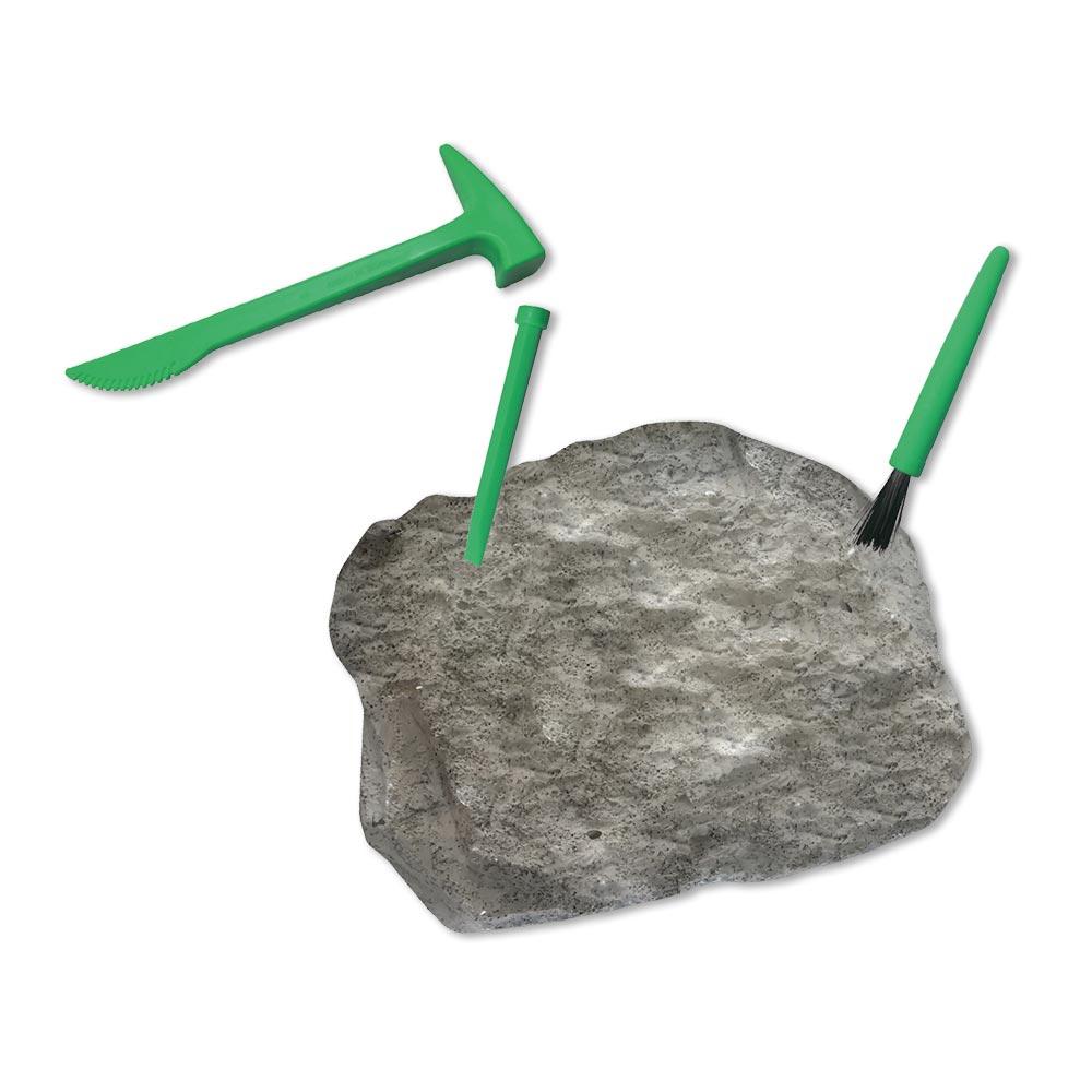 Mi Cofre Buscador De Dinosaurios